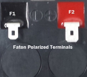 Faston Polarized Terminals