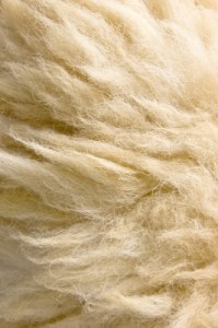 wool cloth