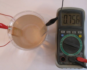 Picture courtesy of sci-toys.com