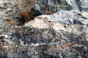 Lithium Cobalt Oxide 