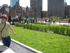 green roof
