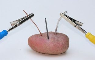 potato power