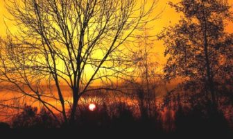 future with batteries