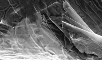 Graphene from Soybeans