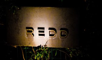REDD+