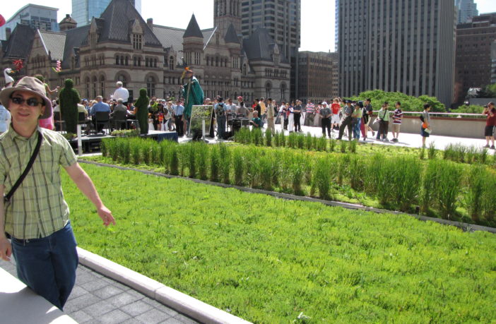 green roof