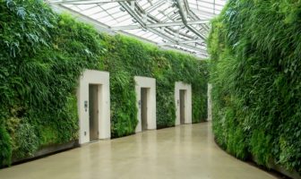 eco-green walls