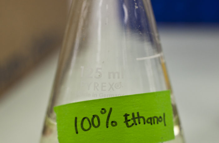 co2 ethanol