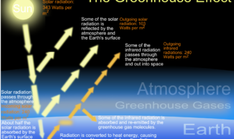 does carbon reach the atmosphere