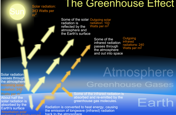 does carbon reach the atmosphere