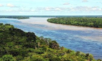 carbon is running ahead of plants