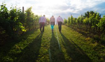 Regenerative Packaging