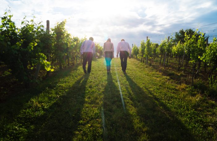 Regenerative Packaging