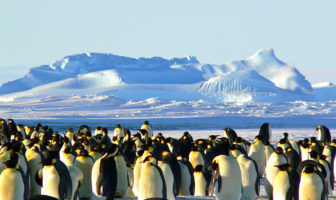 tourism in antarctica