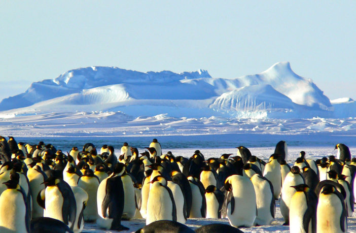 tourism in antarctica