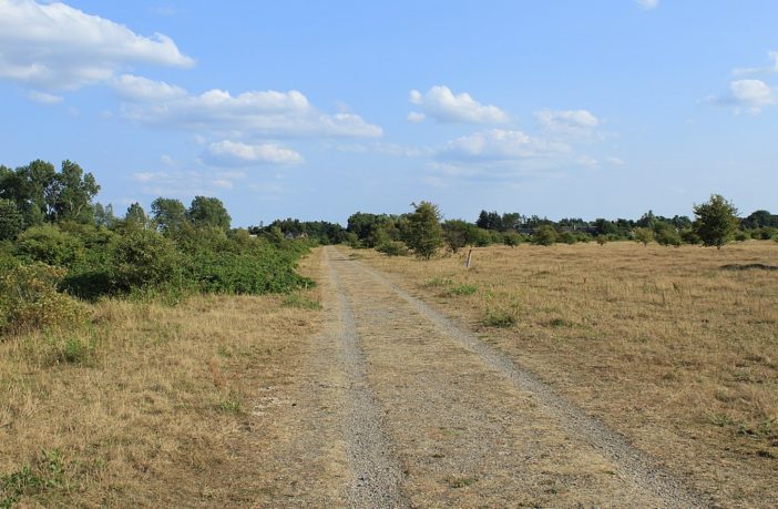 climate change makes heatwaves