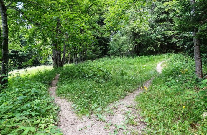 storage and electric vehicle