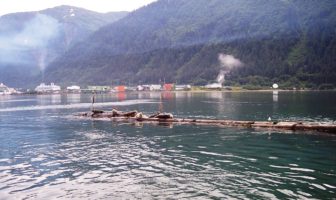 cruise ship pollution