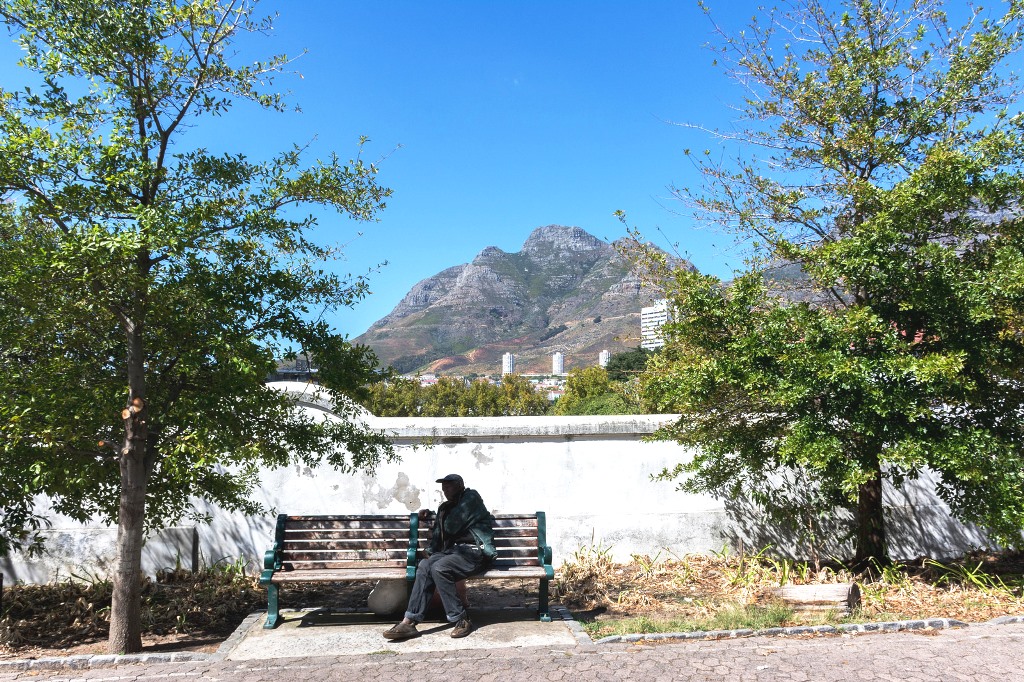 look what we are doing to trees