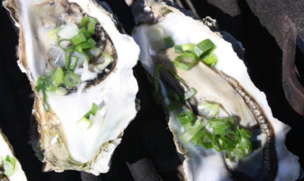 california oysters
