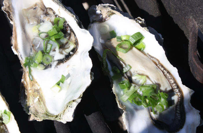 california oysters