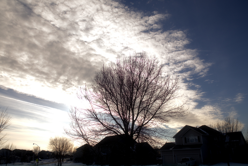 leading vehicle killer