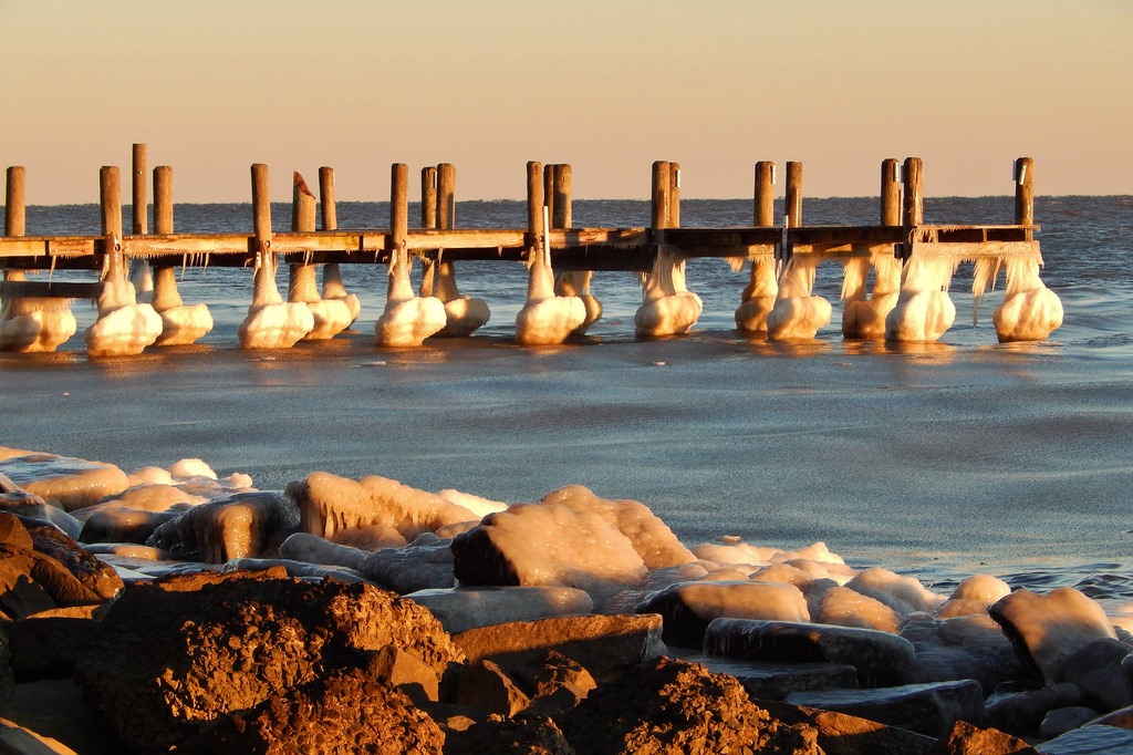 leading vehicle killer