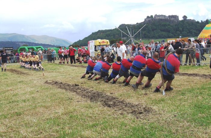 artificial intelligence studying