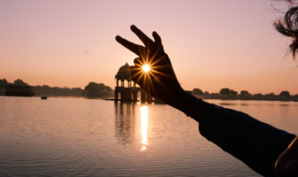 earths survivors foundation