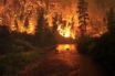 deadly wildfires