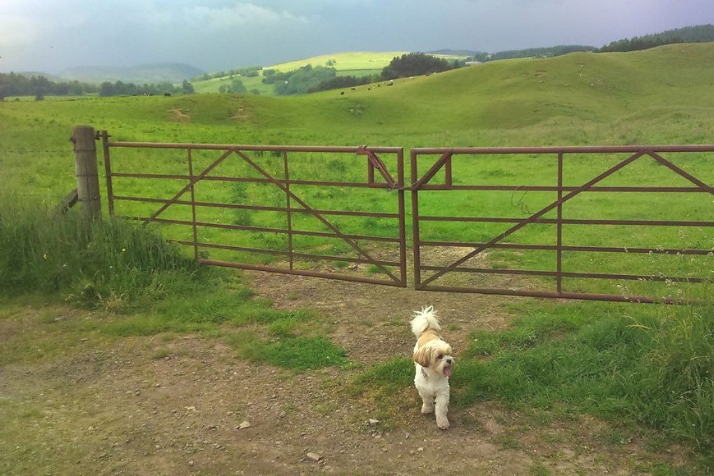 Making Climate Change Personal