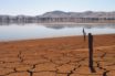 papering over climate change