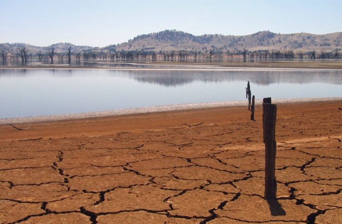 papering over climate change