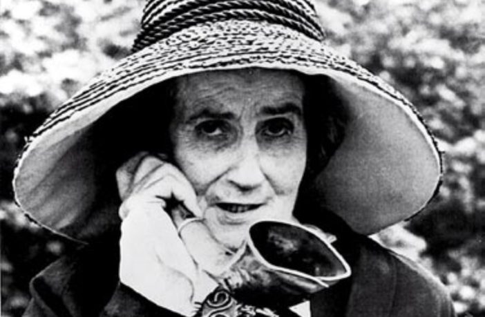 hearing aid batteries