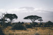 Ethiopia granted with renewables fund