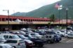 largest automakers