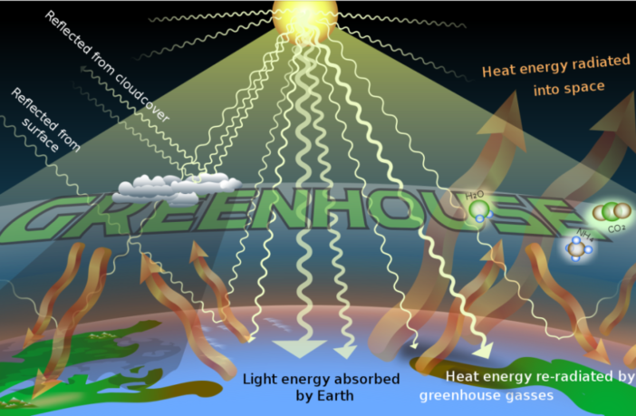 low carbon economies