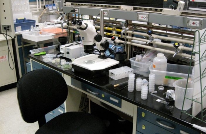 phone battery breakthrough