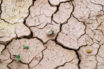 save earth from dying