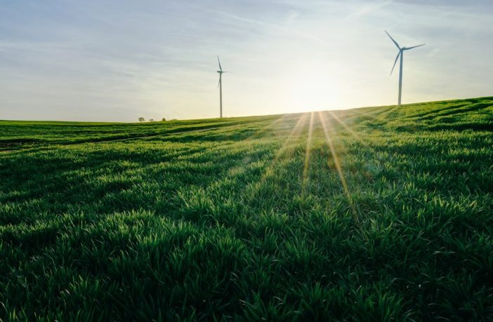 call renewable energy green