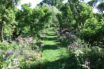 climate change gardening