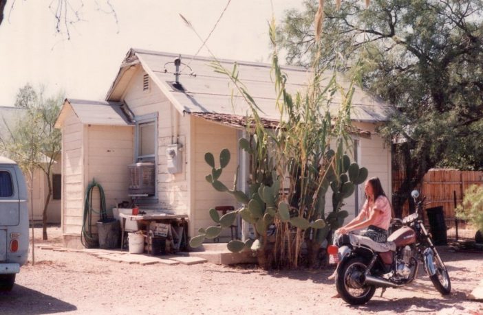 scottish people vote