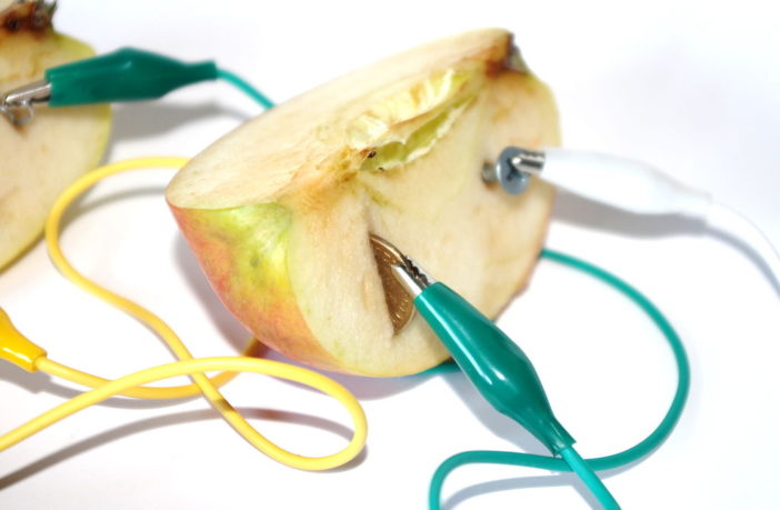 making fruit batteries