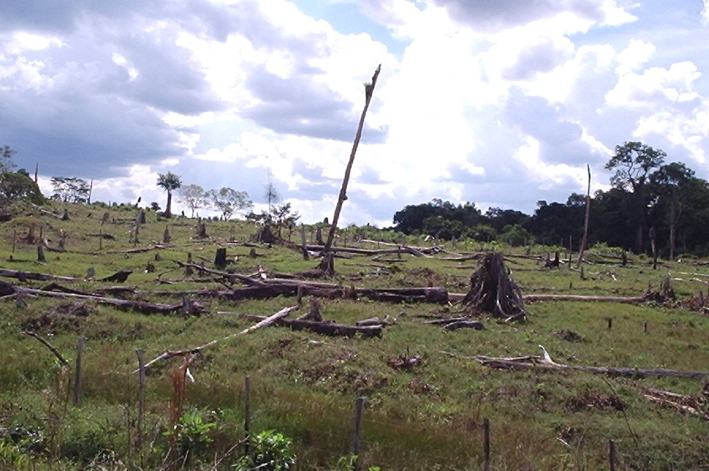 new football pitch disappears