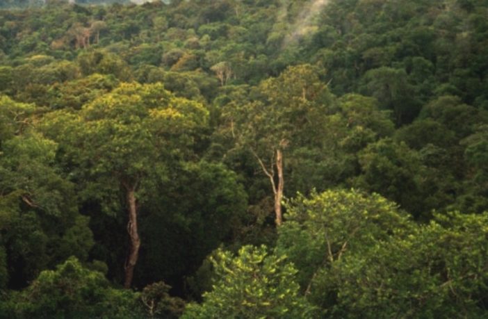 new football pitch disappears