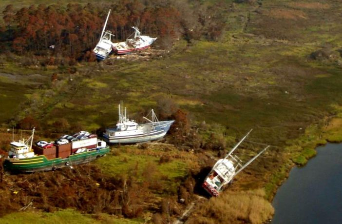 looming gallup polls