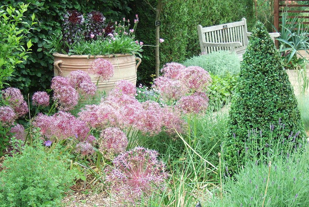 climate change gardening