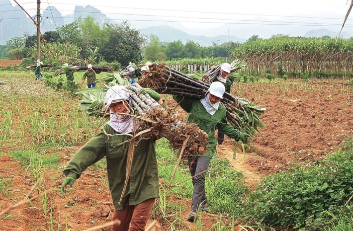 alternative automobile fuel sources