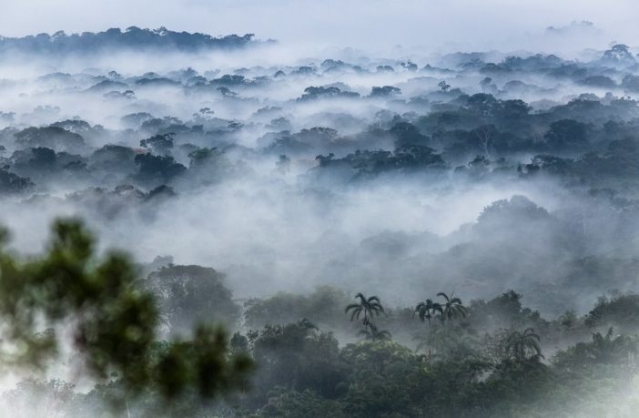 opposition heating up