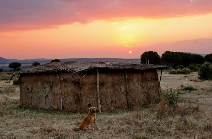 electric vehicle batteries
